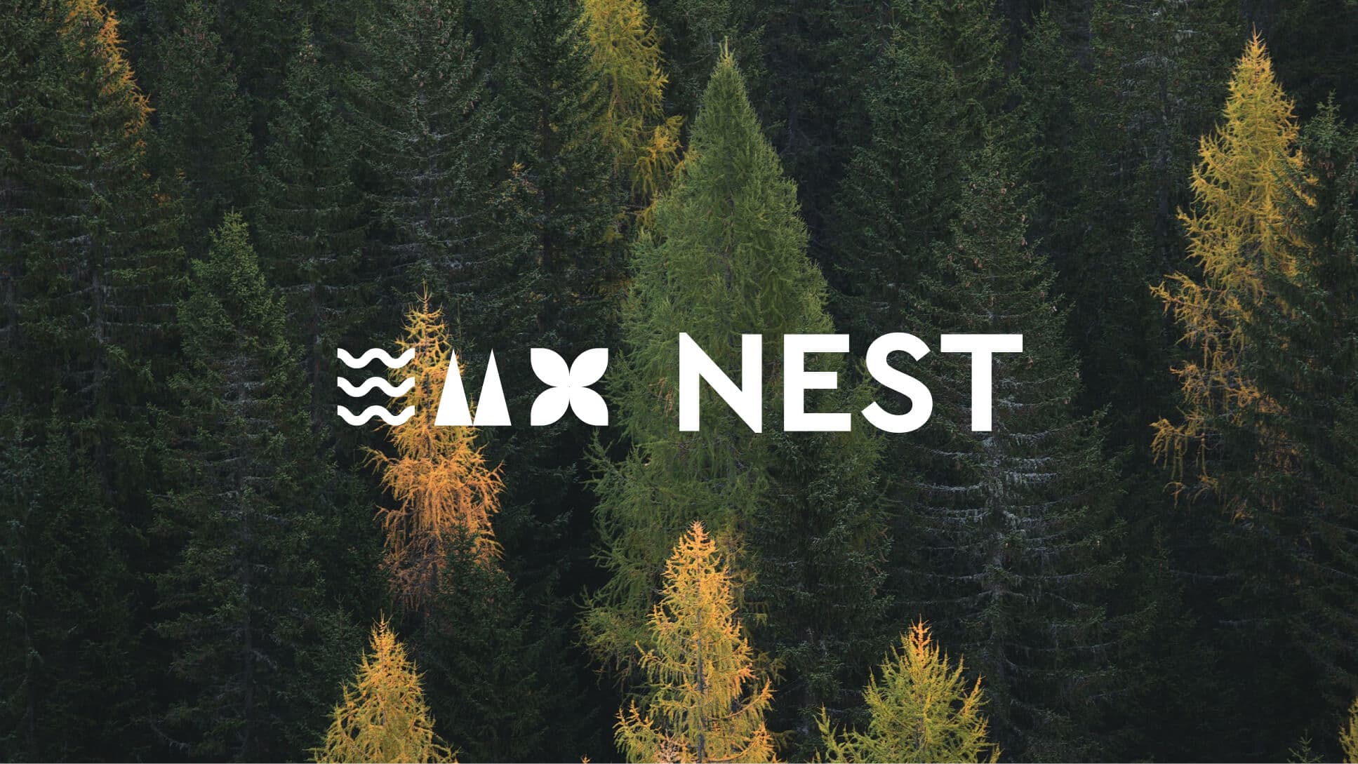 Nest Nest